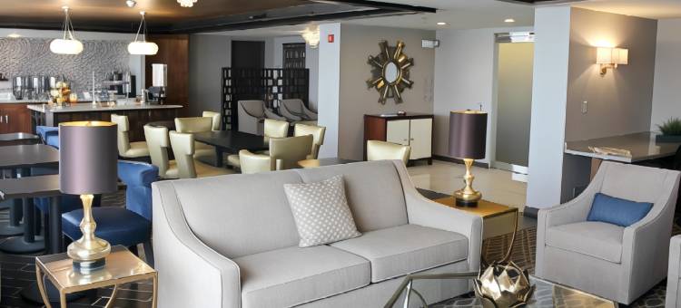 内珀维尔莱尔喜来登酒店(Sheraton Lisle Naperville Hotel)图片