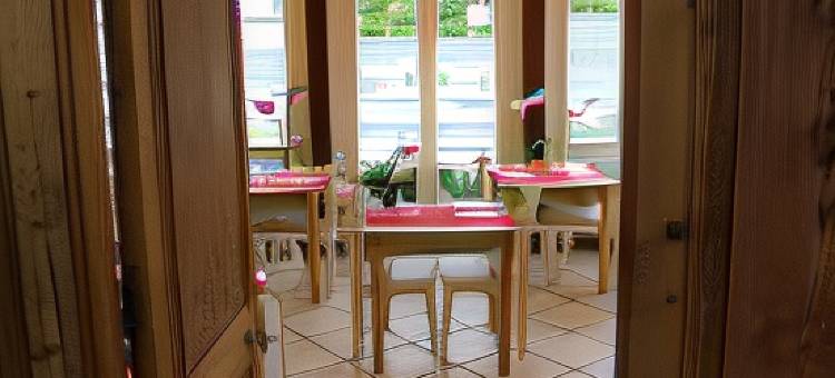 奥贝皮尼斯酒店(Hotel les Aubépines)图片