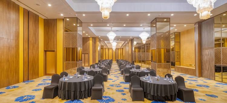 加尔各答机场假日酒店(Holiday Inn Kolkata Airport,)图片