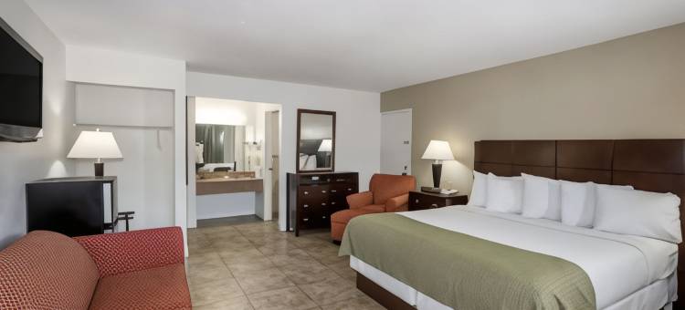 圣彼得堡坦帕湾地区温德姆戴斯酒店(Days Inn by Wyndham St. Petersburg / Tampa Bay Area)图片
