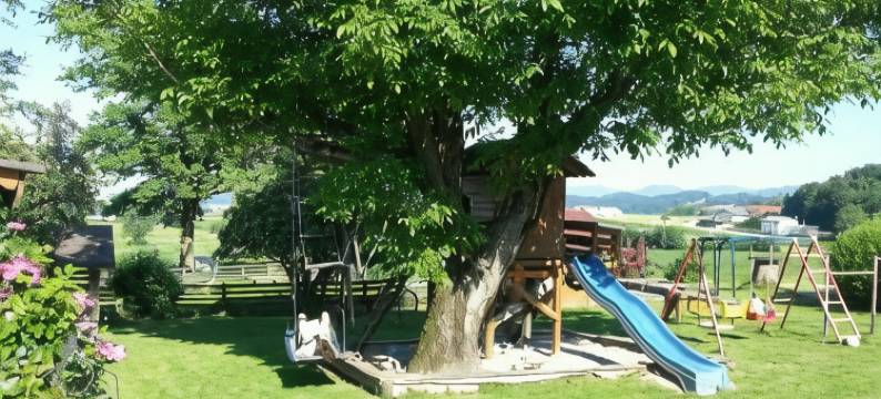 兹塔斯巴瓦农家乐(Familienbauernhof Strassbauer)图片