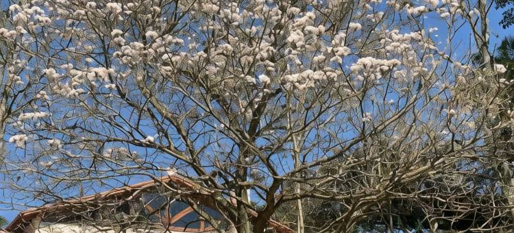 Pousada Gardenian图片