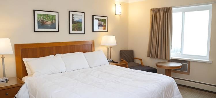 双松套房旅馆(Twin Pine Inn & Suites)图片