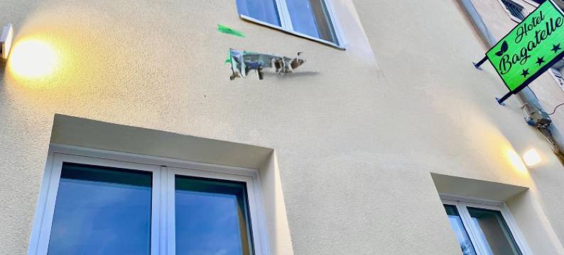 巴菲特里餐厅酒店(Hôtel Bagatelle)图片