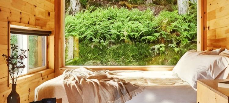 野玫瑰的明信片小屋，万豪旅享家户外系列(Postcard Cabins Wild Rose)图片