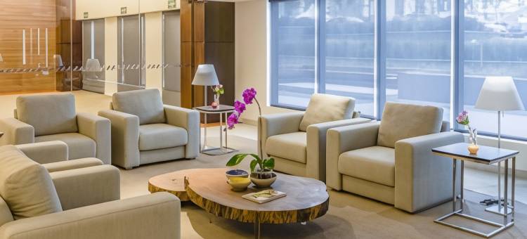 阿尔法村蓝树高级酒店(Blue Tree Premium Alphaville)图片