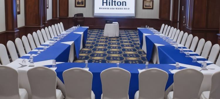 希尔顿圣佩德罗苏拉公主酒店(Hilton Princess San Pedro Sula)图片