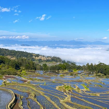 昆明+抚仙湖+建水+元阳+碧色寨风景区+普者黑景区+坝美世外桃源景区6日5晚拼小团