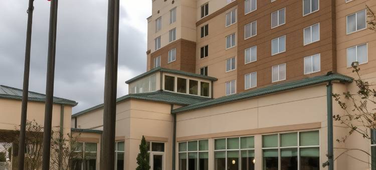 美国休斯顿西北广场希尔顿花园酒店(Hilton Garden Inn Houston NW America Plaza)图片