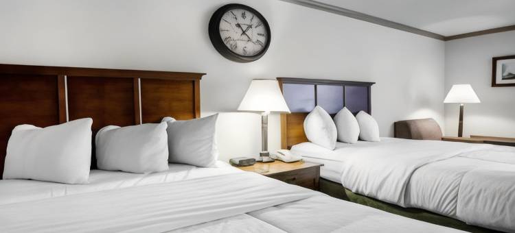 伯明翰机场华美达酒店(Ramada by Wyndham Birmingham Airport)图片