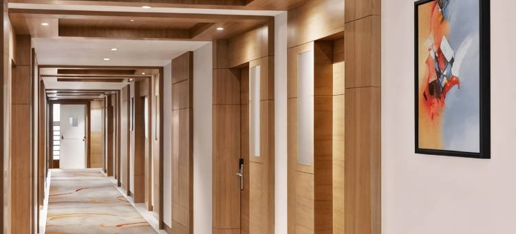 加德满都泰美尔温德姆华美达安可酒店(Ramada Encore by Wyndham Kathmandu Thamel)图片