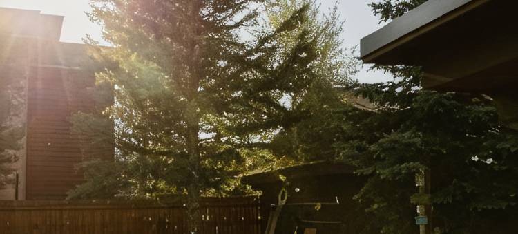 阿尔彭霍夫酒店(The Alpenhof)图片