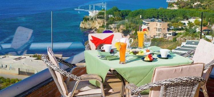 阿里科酒店(Hotel Aliko)图片