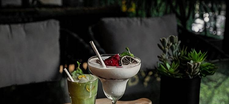 百利宫西贡酒店(Paragon Saigon Hotel)图片