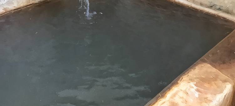 妙见温泉 乐园庄(Myouken Onsen Rakuensou)图片