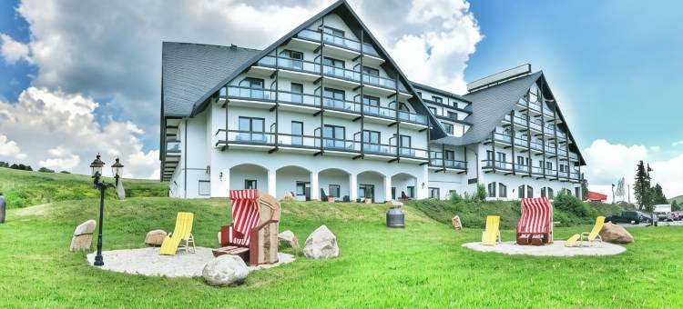 阿尔皮娜阿泊文森特山林小屋(Alpina Lodge Hotel Oberwiesenthal)图片