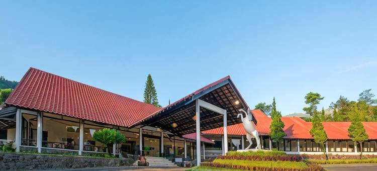 布罗莫格兰德威兹酒店(Grand Whiz Hotel Bromo)图片