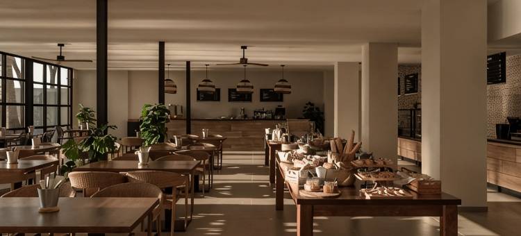 卡尔维亚海滩库克俱乐部 仅成人(Cooks Club Calvia Beach - Adults Only)图片
