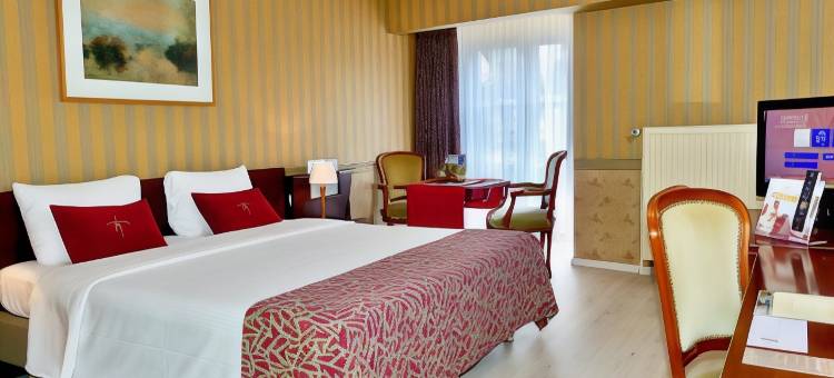 德美第奇金色郁金香酒店(Golden Tulip Hotel de Medici)图片