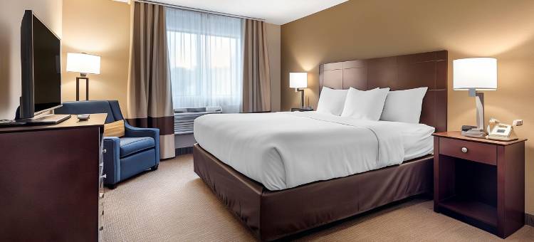 蒙特佩利尔柏林舒适套房酒店(Comfort Inn & Suites Montpelier-Berlin)图片