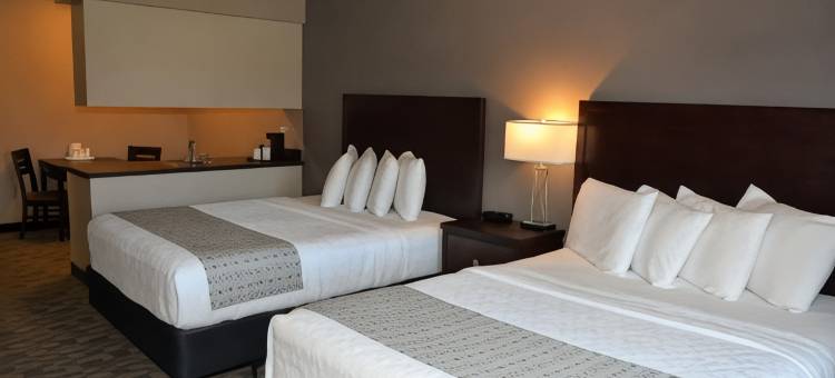 杜邦费尔布里奇套房酒店(FairBridge Inn & Suites DuPont)图片
