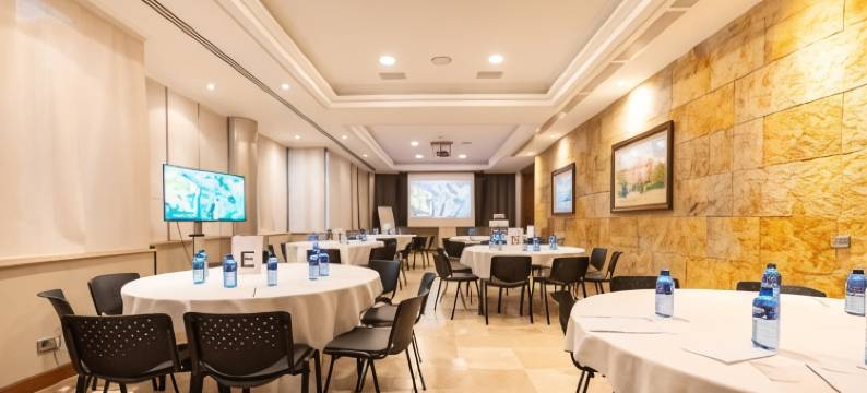 马德里别墅酒店(Hotel Villamadrid)图片