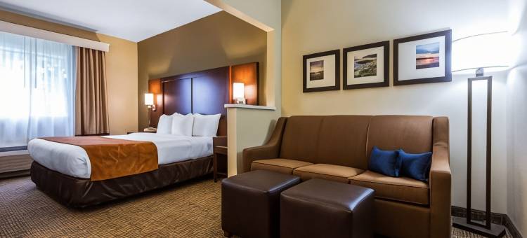 舒适套房酒店罗切斯特亨利埃塔大学区(Comfort Suites Rochester Henrietta University Area)图片