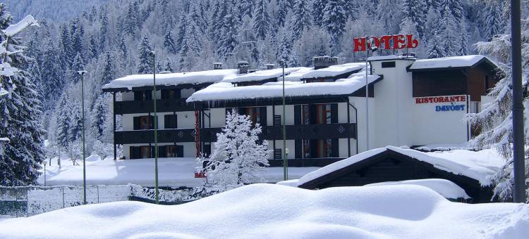 达沃斯酒店(Hotel Davost)图片