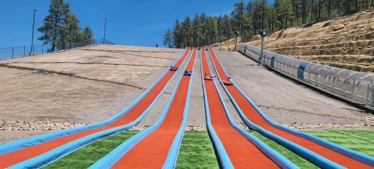 温德姆速8-威莱斯西66号公路-大峡谷区(Super 8 by Wyndham Williams West Route 66/Grand Canyon Area)图片