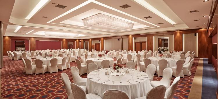 安卡拉海葵酒店(Anemon Kent Ankara Otel)图片