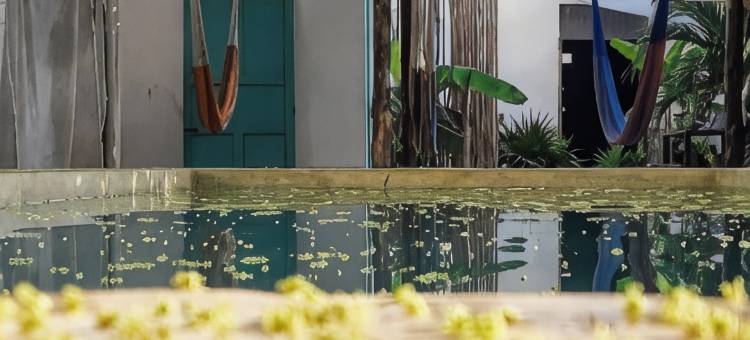 瓜雅青年旅舍(Guaya Hostel)图片