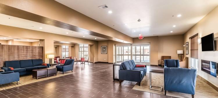 大草原城阿灵顿北部舒适套房酒店(Comfort Suites Grand Prairie - Arlington North)图片