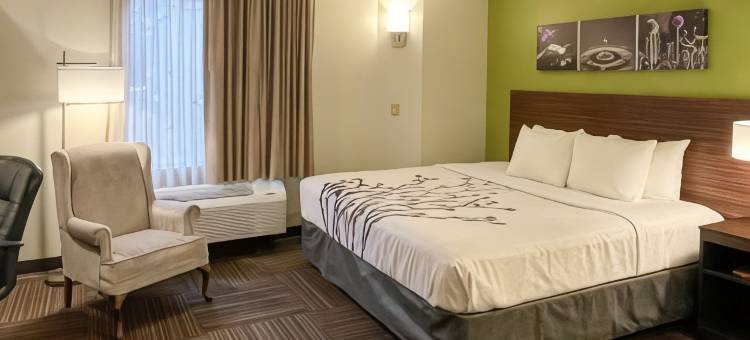 舒眠旅馆(Sleep Inn)图片