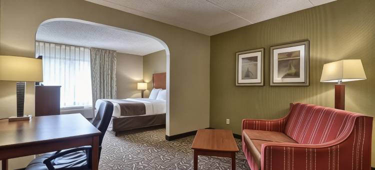 大学区凯隆套房酒店(Clarion Inn & Suites - University Area)图片