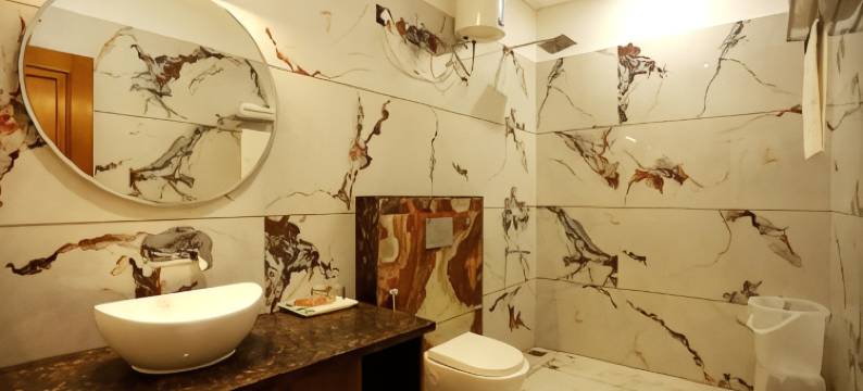 丁格拉酒店(Hotel Dhingra Inn)图片