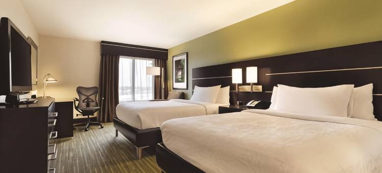 休斯顿西北希尔顿花园酒店(Hilton Garden Inn Houston NW/Willowbrook)图片