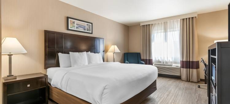 特劳特代尔-波特兰东舒适酒店(Comfort Inn Troutdale-Portland East)图片