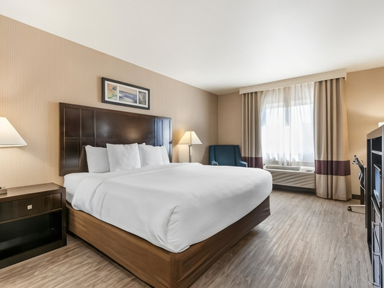 特劳特代尔-波特兰东舒适酒店