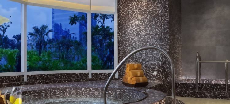 丽思卡尔顿酒店雅加达太古广场公寓(The Residences at The Ritz-Carlton Jakarta, Pacific Place)图片