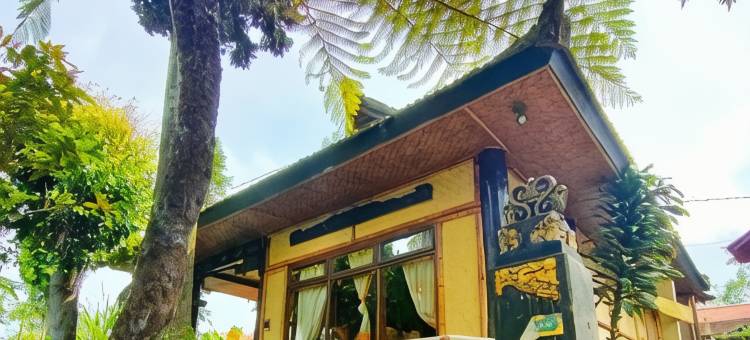 布罗莫旅游村布罗莫约斯基酒店(Yoschi's Hotel Bromo)图片