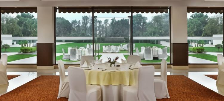 新德里机场大道福朋喜来登酒店(Four Points by Sheraton New Delhi, Airport Highway)图片