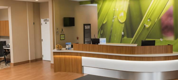 布法罗机场SpringHill Suites酒店(SpringHill Suites Buffalo Airport)图片