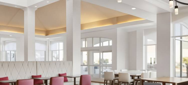 拉斯维加斯亨德森希尔顿花园酒店(Hilton Garden Inn Las Vegas/Henderson)图片
