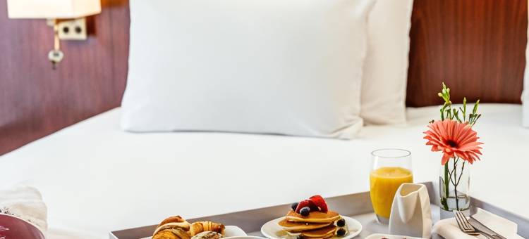 卢尔德帝王美居酒店(Hôtel Mercure Lourdes Impérial)图片