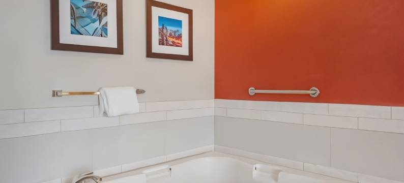 舒适酒店及套房大学(Comfort Inn & Suites University)图片