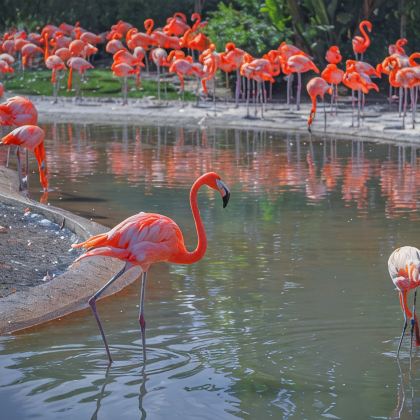 美国+洛杉矶+旧金山+拉斯维加斯9日8晚私家团