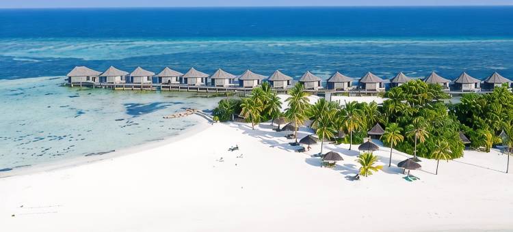 酷拉都岛水疗度假村(Kuredu Island Resort & Spa)图片
