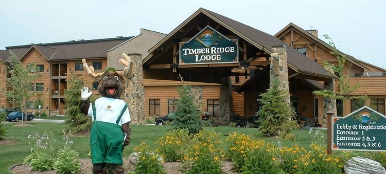 木材岭旅馆和水上乐园(Timber Ridge Lodge and Waterpark)图片
