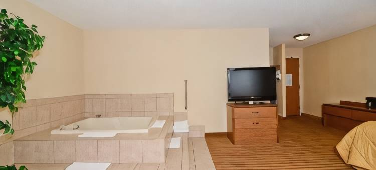 凯艺套房酒店(Quality Inn & Suites)图片