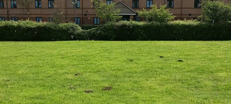 罗瑟勒姆东洲际旗下佳阁酒店(Garner Hotel ROTHERHAM EAST by IHG)图片